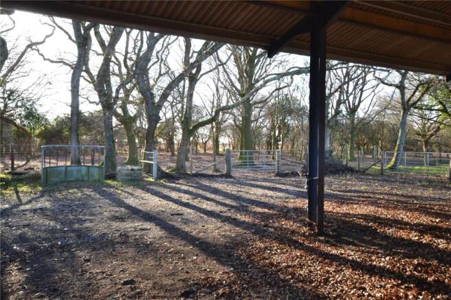 Access To New Forest