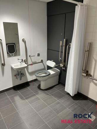 Toilet Lowry .jpg