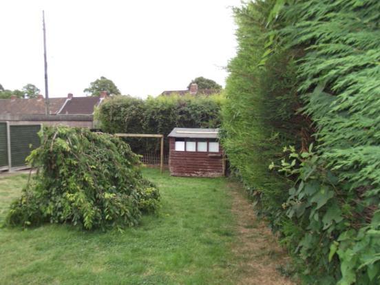 Photo of the property