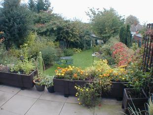 Photo of the property