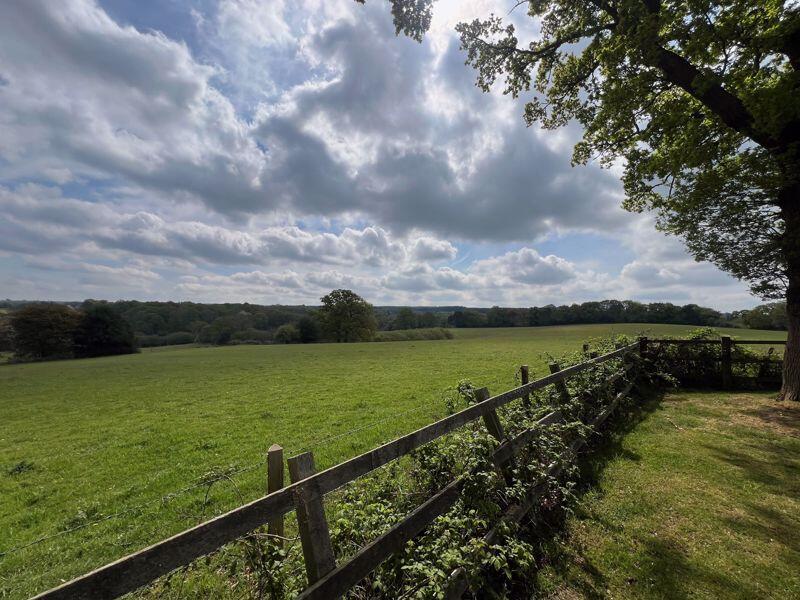 Luxury Holiday Lodges in The Surrey Hills photo 4