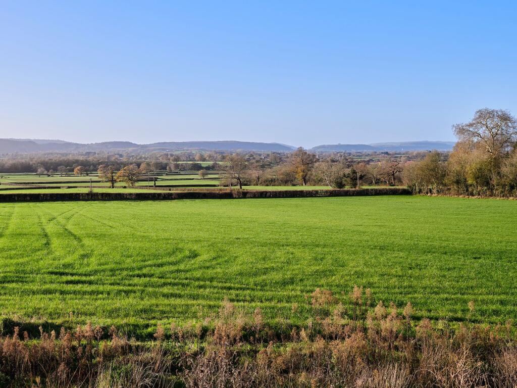 Gatcombe Orchard, Wrington photo 2