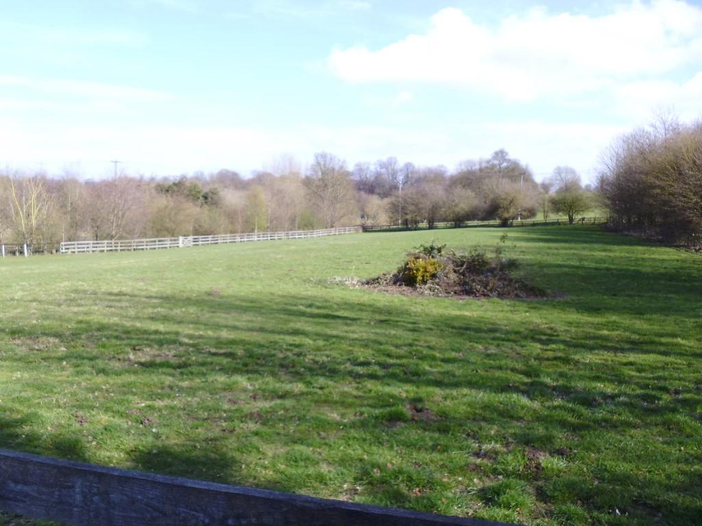 Surrounding Views