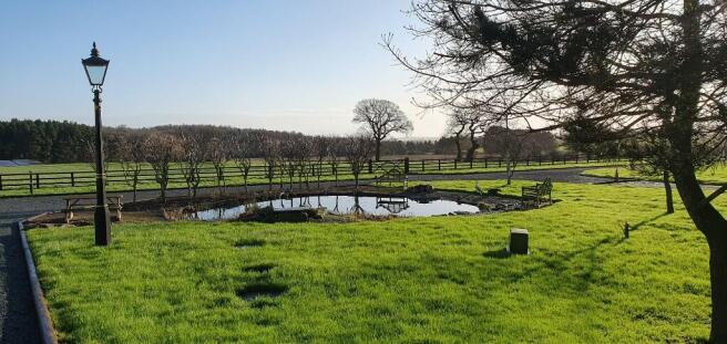 Pond outdoor seating
