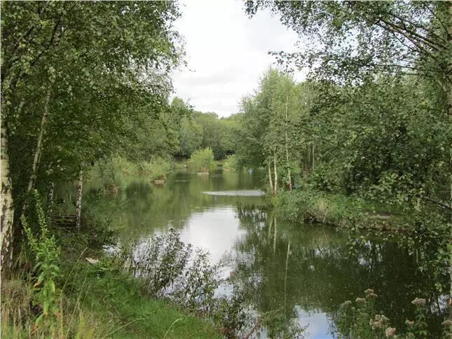 Taylors Lane, Ince-in-Makerfield, Wigan - View 2