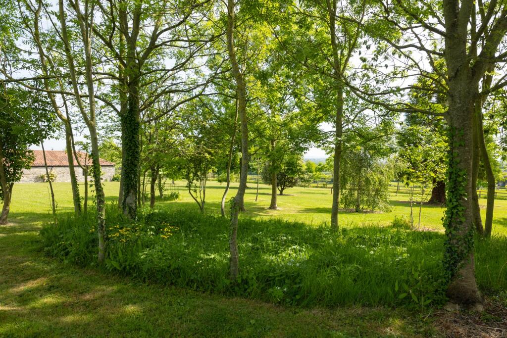 Additional image 24 of Butleigh, Glastonbury