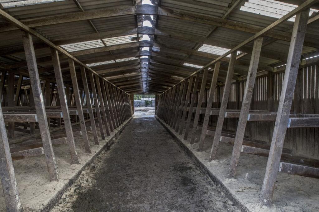 Blandys Farm