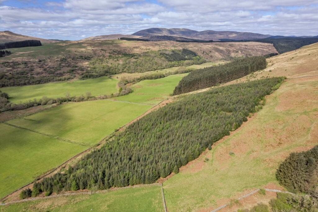 House in Dumfries - View 2