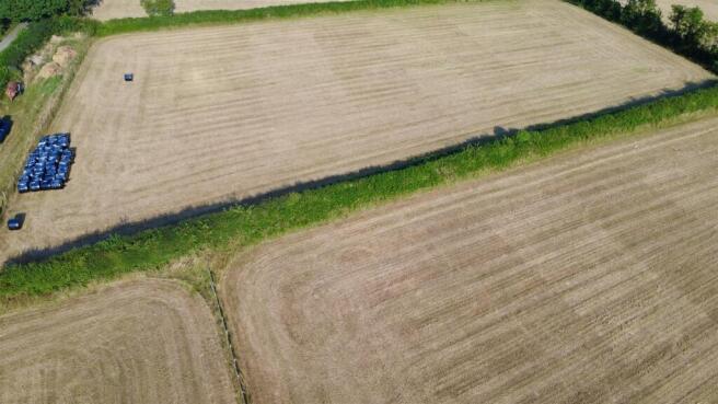 dji_fly_20260710_185642_550_1783706353272_photo_op