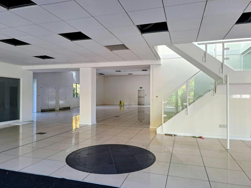 Showroom 3.jpg