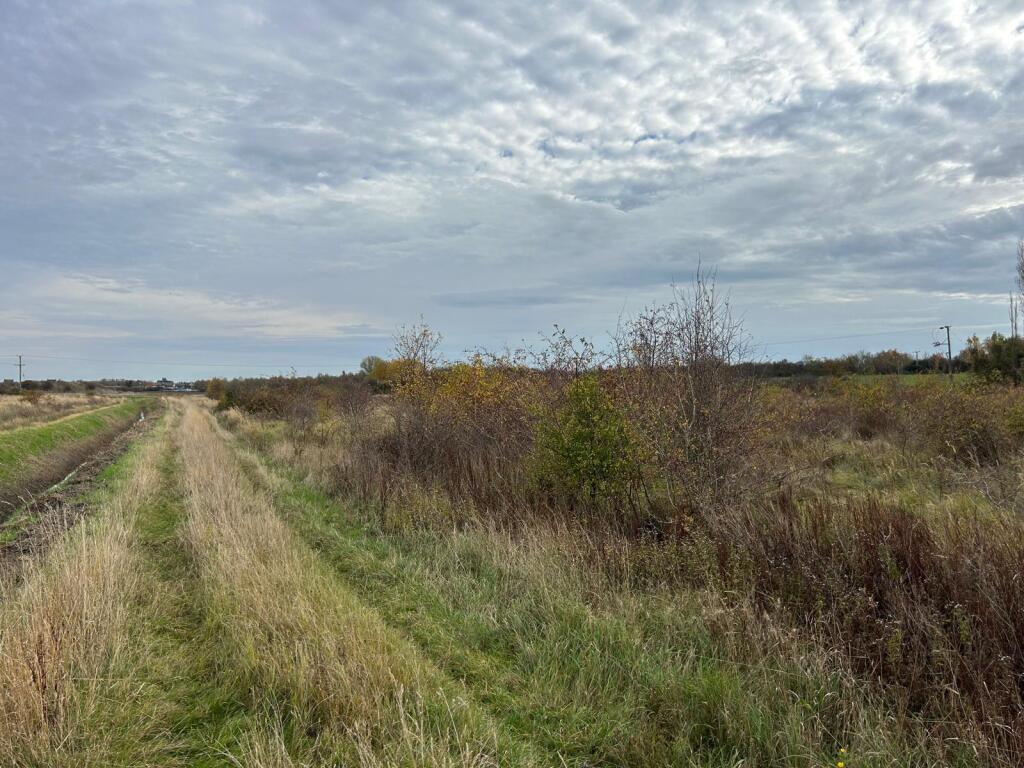 Main image of property: Land at Eye Green 