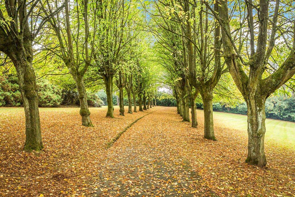 Farley Lane, Romsley, Halesowen, Worcestershire, B62