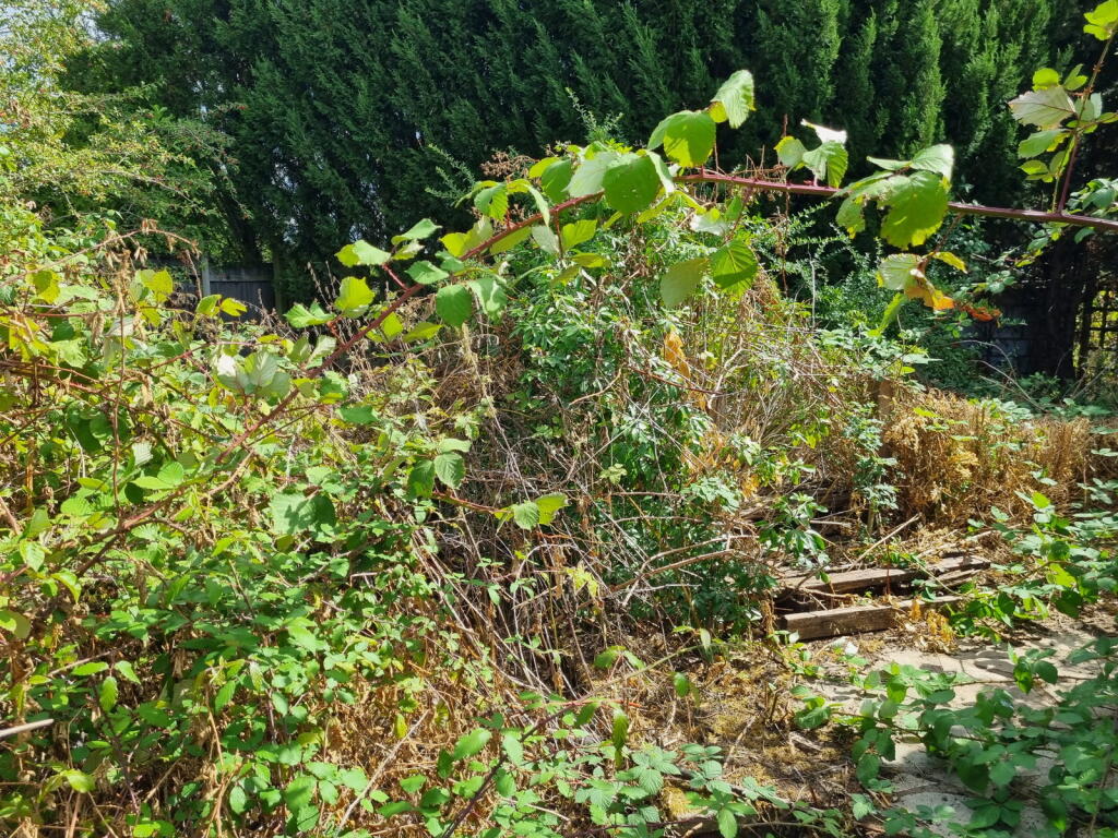 Off Hasketon Road, Burgh, Woodbridge, Suffolk, IP13 6PX - View 2