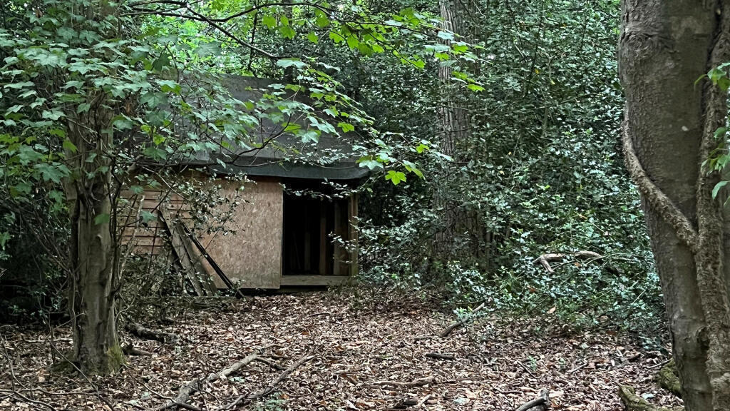 Wood store.