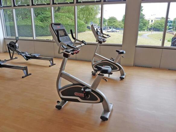 Reflex gym.jpg