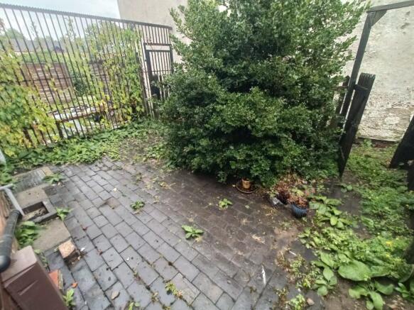 Rear yard