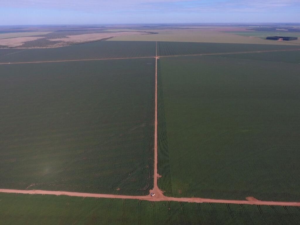 Main image of property: Goiás, Formosa