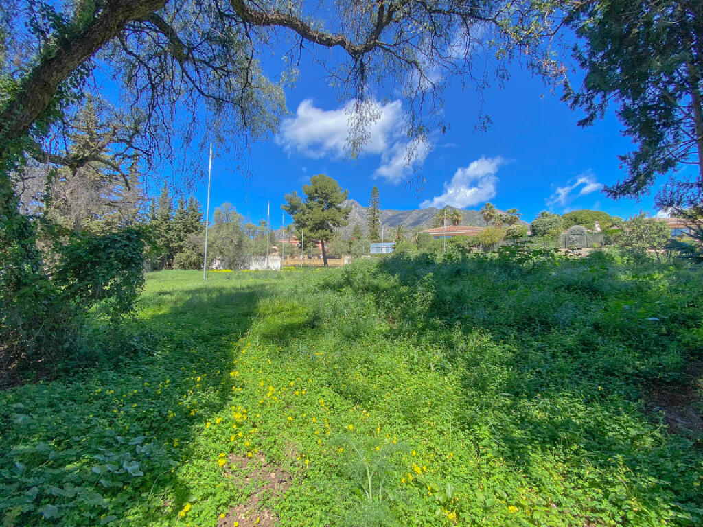 Main image of property: Andalucia, Malaga, Marbella