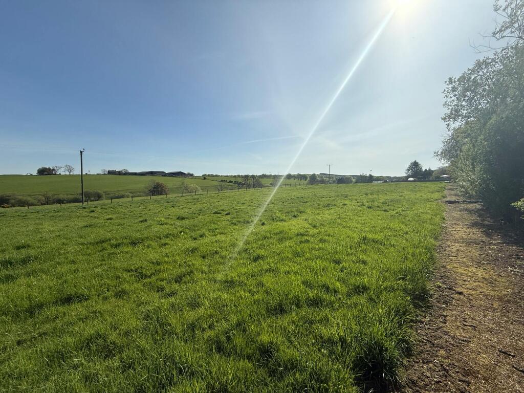 Image 16