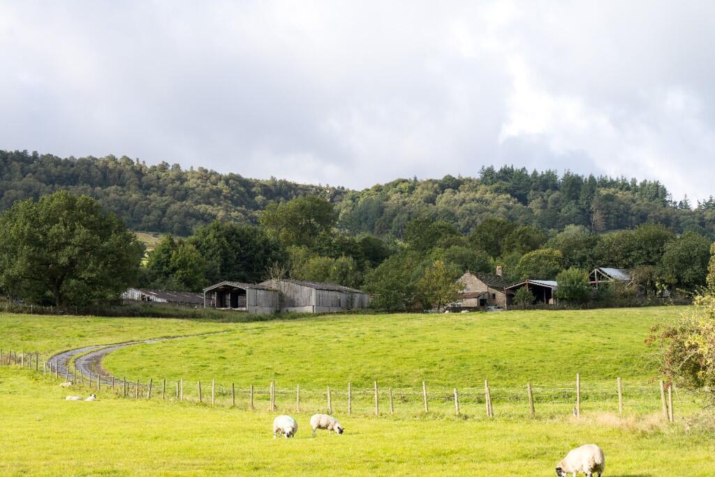 Baylis Gap Farm, Bewerley, Harrogate photo 4