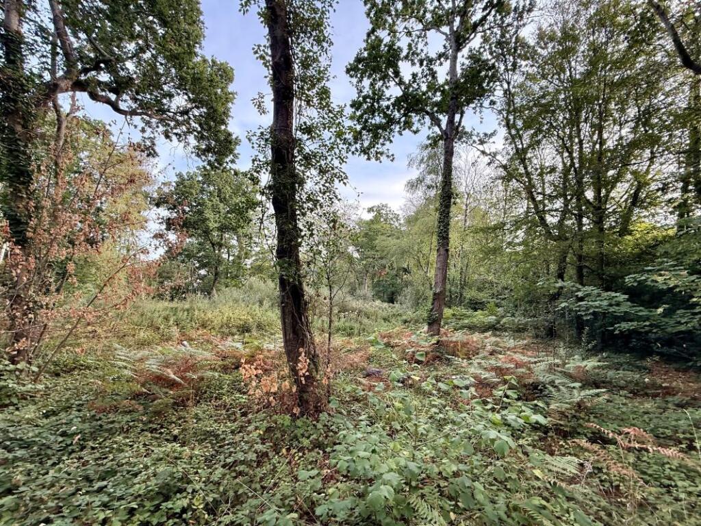 Land South of, Jesmond Avenue, Highcliffe, Christchurch, Dorset, BH23 5AY - View 4