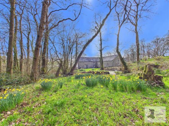 Gardens/woodland