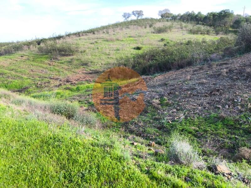 Main image of property: Algarve, Azinhal