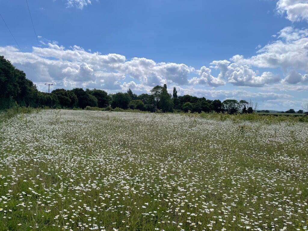 Main image of property: Farmland at Temple End & Mill Road, Foxearth, Essex, CO10