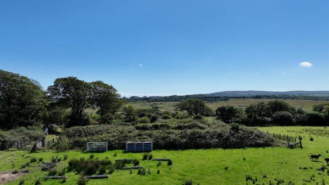garden and back of plot.jpg