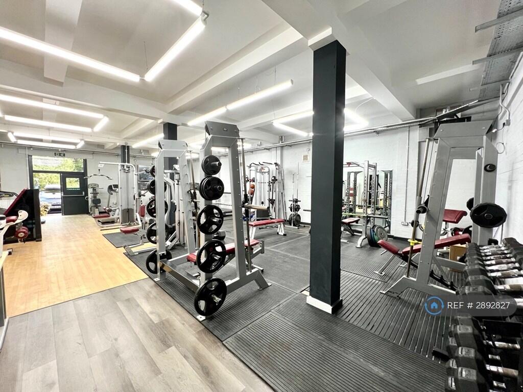 1 bedroom flat share for rent