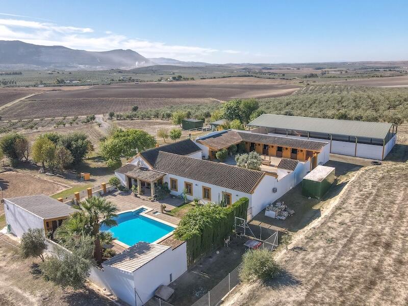 Main image of property: Morón de la Frontera, Sevilla, Andalusia