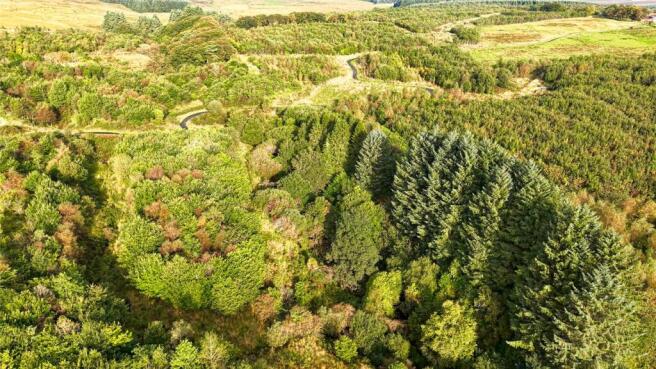 Drone Photograph