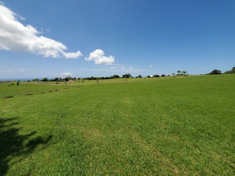Main image of property: Apes Hill, St James
