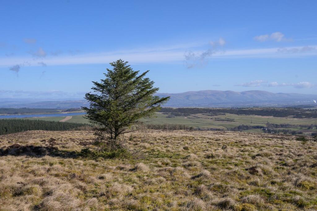 DarrachHill-31.jpg