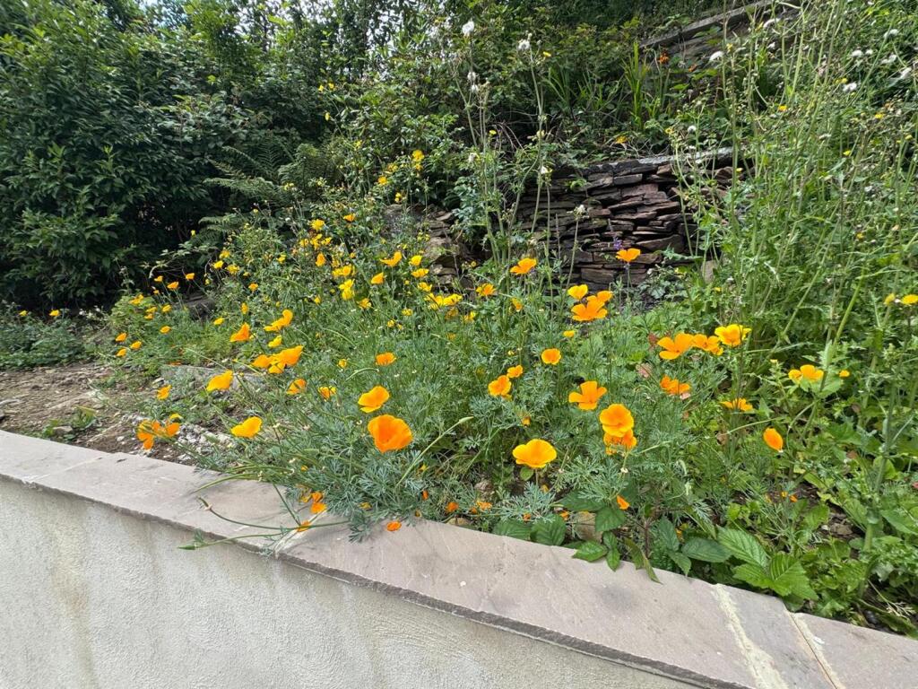 Additional image 20 of Exley Crescent, Keighley