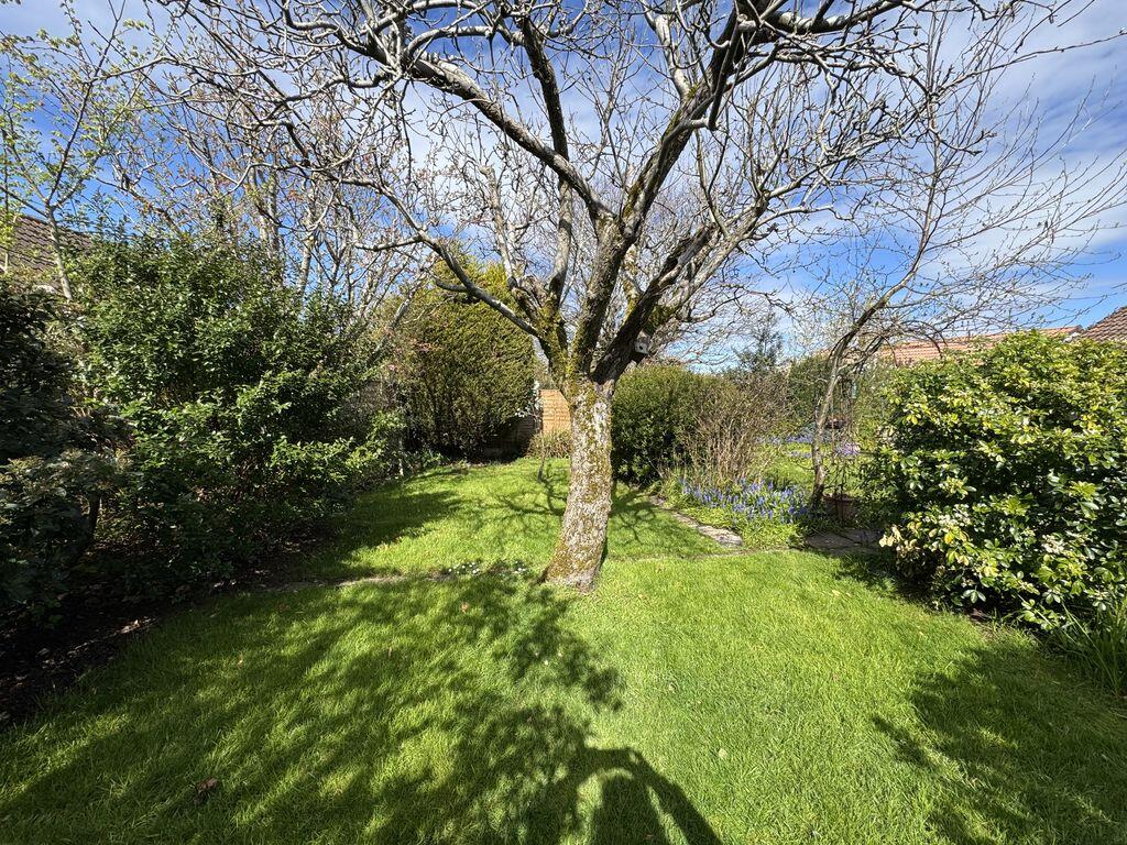 Thornbury, Nr. Bristol photo 3
