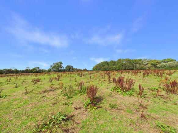 Land 3