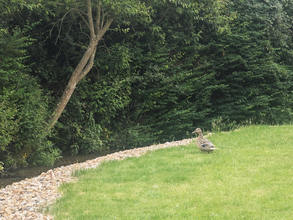Lyde Court, London Road, Old Basing, Hampshire photo 3