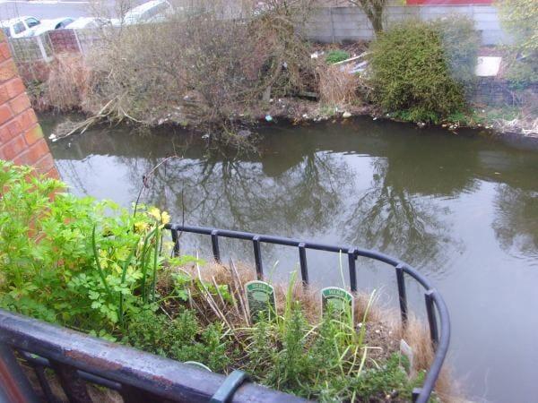 Property photo 8