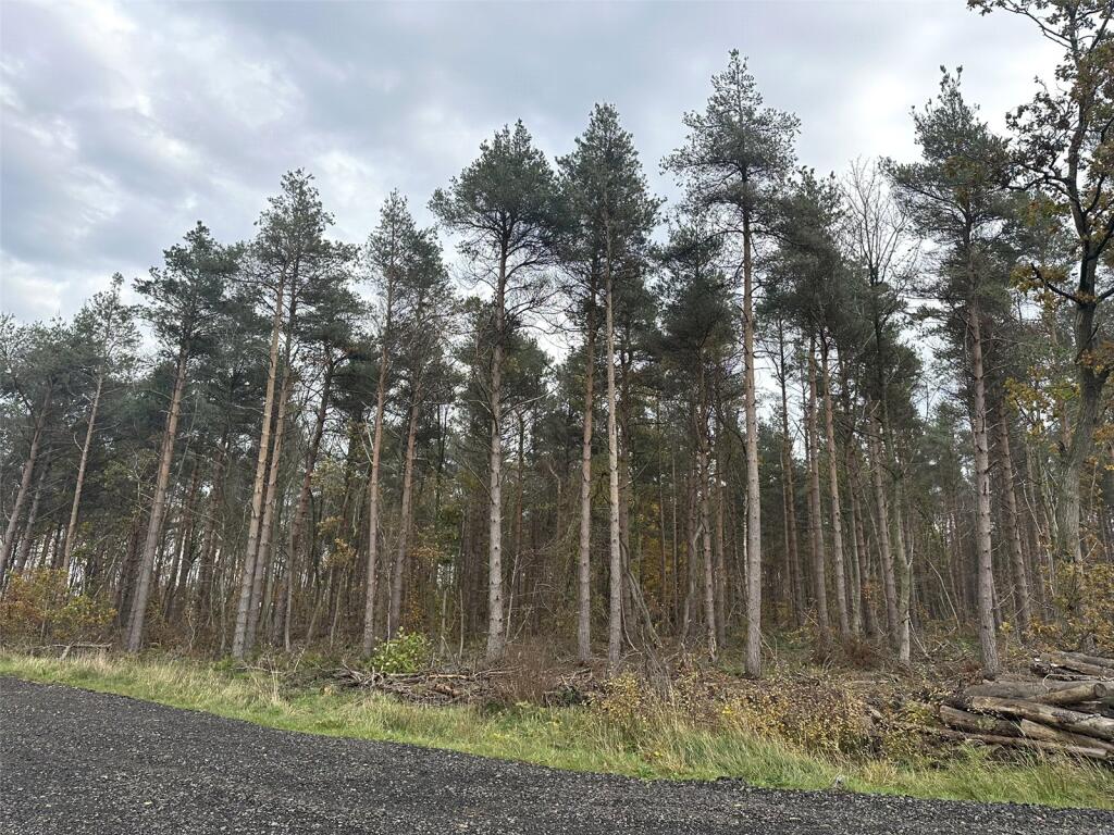Holiday Lodge Development Site, Durham Road, Wingate, Durham