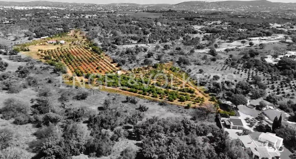 Main image of property: Algarve, Almancil