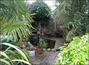 Photo of the property