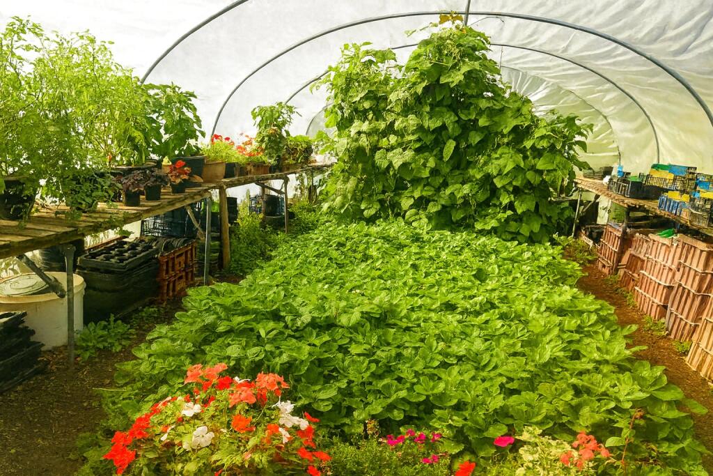 Additional image 30 of Spring Grove, Colne, Lancashire, BB8