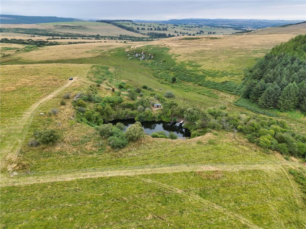 Wellhope Dene Wood and Lake, Edlingham, Alnwick, Northumberland, NE66 - View 5