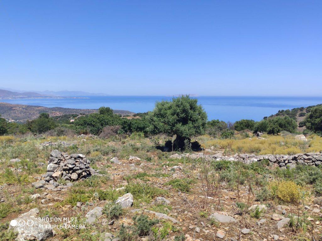 Main image of property: Crete, Lasithi, Áyios Nikólaos