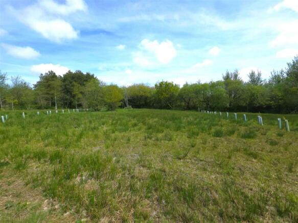 Plot 13 looking back from the lake.jpg