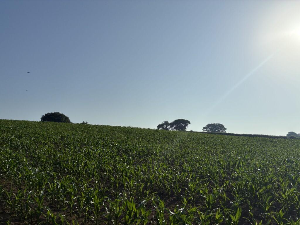 Main image of property: Land at Southtown Farm, Ashill, Ilminster, Somerset TA19 9LS