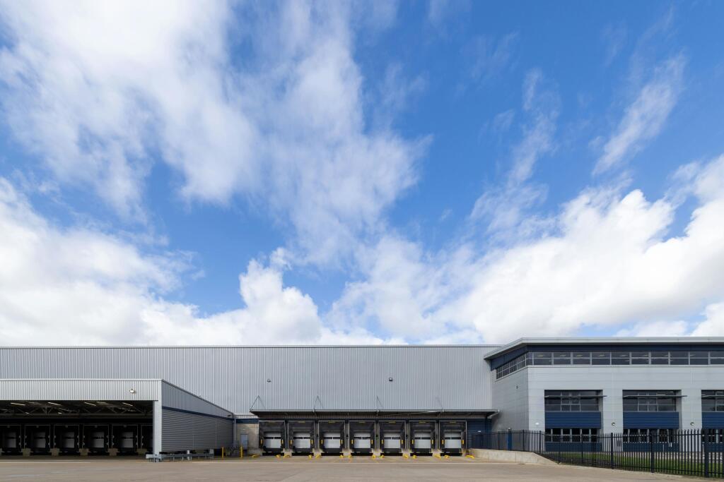 Big Swan_Image_07.jpg