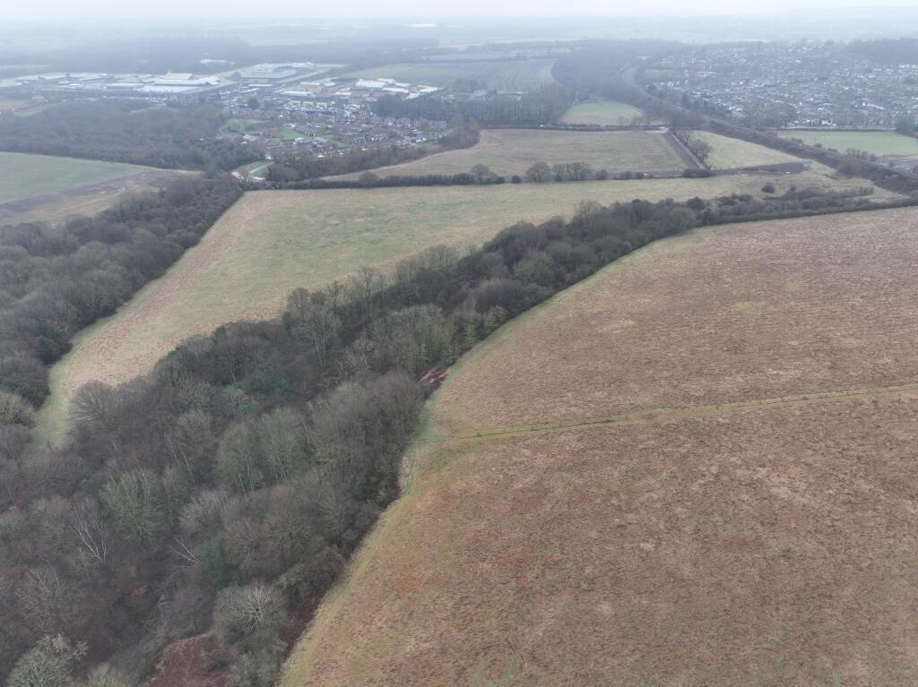 Grazing land and woodland - Durham DH1