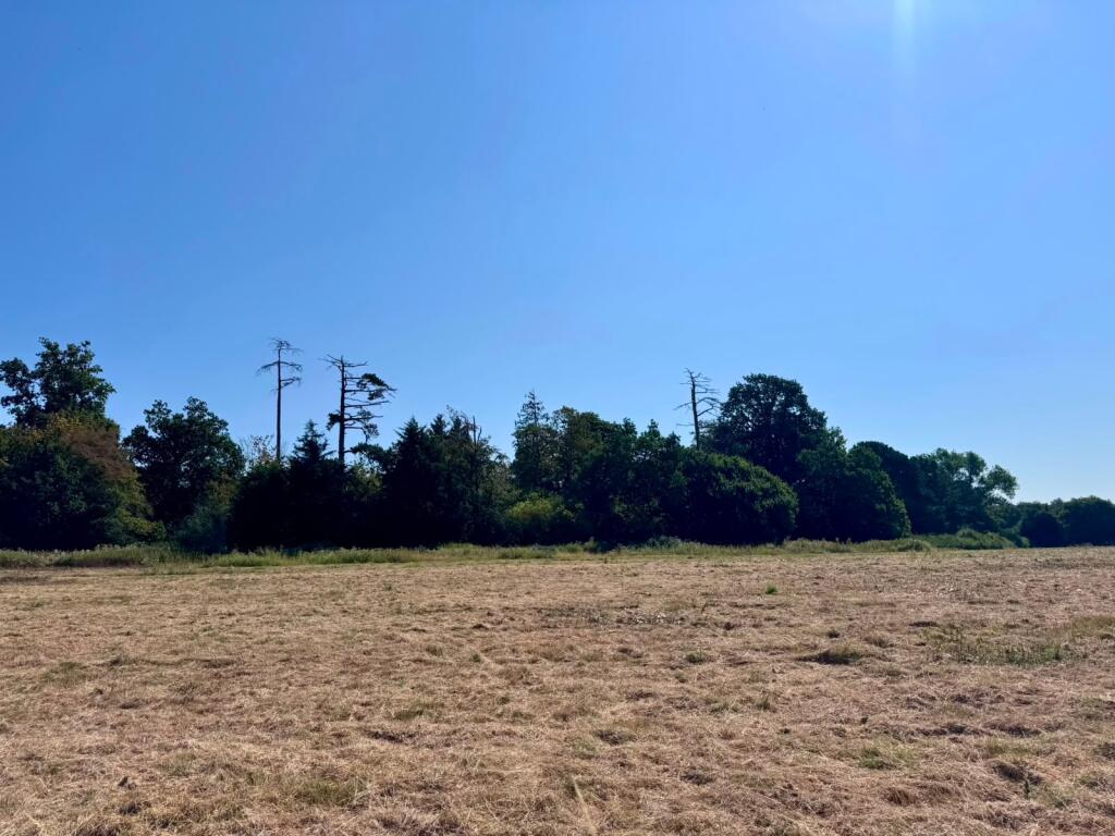 Land To The South Of Picts Lane, Cowfold, Horsham, West Sussex - More